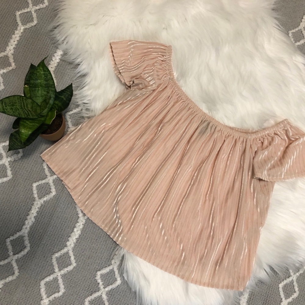 Forever21 Pink Velvet Off Shoulder Top